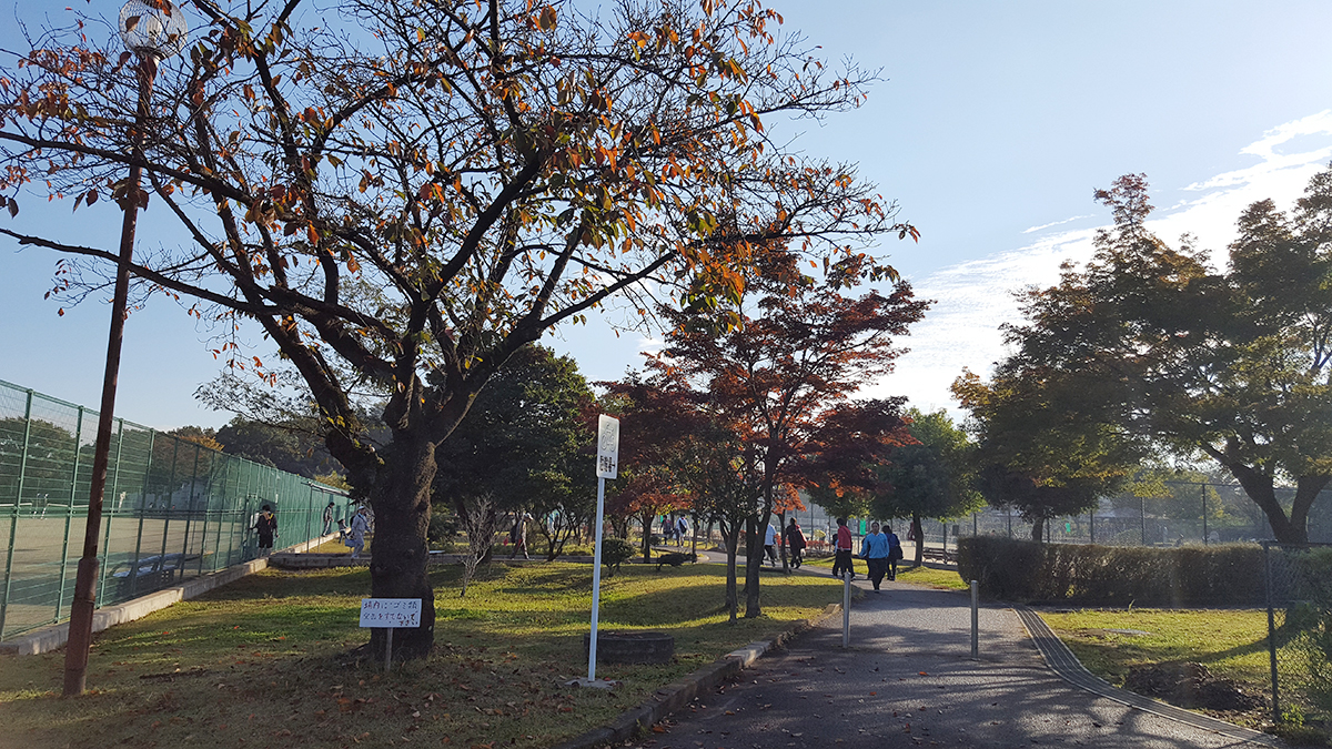 所沢市クラブ対抗戦,ソフトテニス,北野総合運動公園