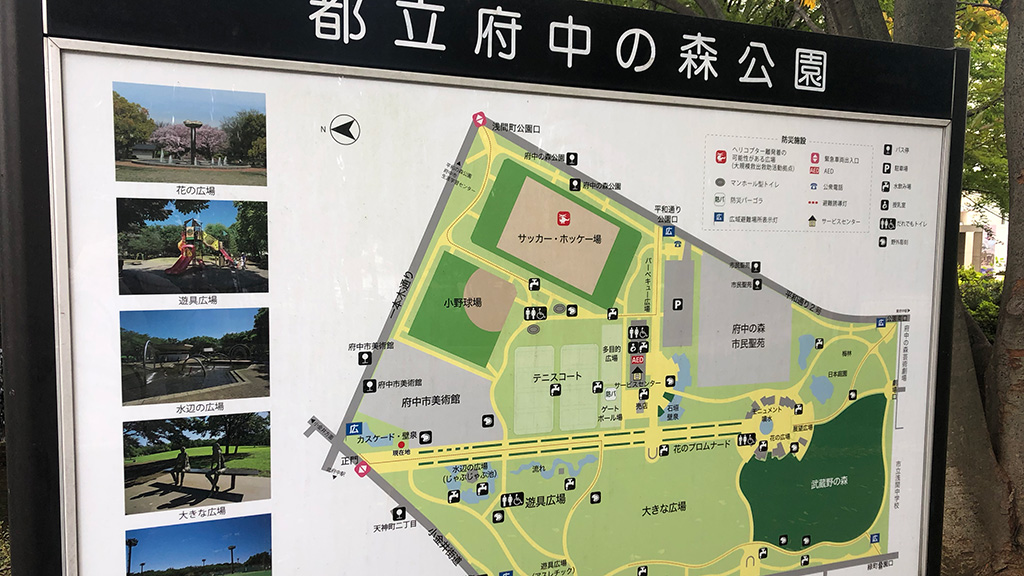 令和元年度(2019)東京都中学校新人ソフトテニス大会,都大会新人戦,府中の森公園