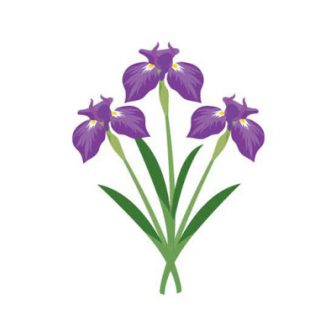 あやめSTC,ソフナビチーム紹介