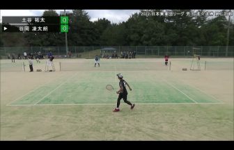 公益財団法人日本ソフトテニス連盟,日本実業団リーグ